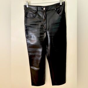 Aritzia Wilfred black faux leather pants.